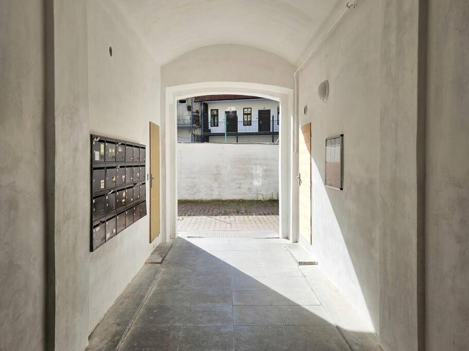 Artistic Designer Zizkov Apartment
